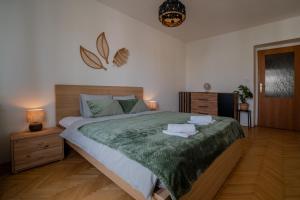 Spacious residential apt with balcony by TV tower