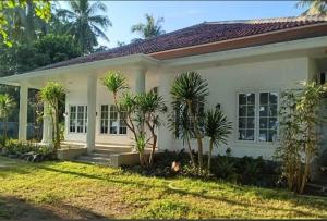 Damar Tree Resort Krui