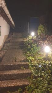 Erholungsoase am Rand des Harzes - Apartment