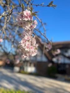 The Manor in Blue Mountains