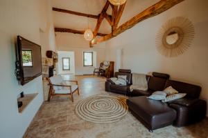 Le Mas des vignes - Piscine - Jacuzzi - 18 pers