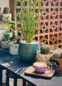 Chill house - Hidden Gem in Hanoi Old Quarter