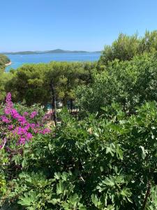 Harry - prvi red do mora