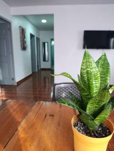 Beachfront House In Isla Grande Province of Colon