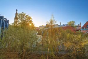 Old Town, Next to Town Hall Square, Quiet, Infrared sauna