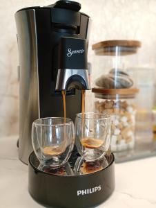 Light View Apartment - New Center