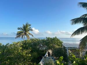 Casa Arsha Beachfront Bed & Breakfast