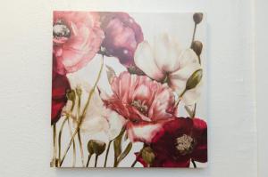 Cute Studio in the Heart of Hollywood