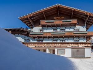 Flat in Mittersill near Hohe Tauern Ski Slopes
