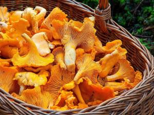 6 person holiday home in TORSBY-By Traum