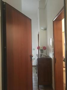 Cassiopea img3