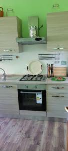 Cassiopea img19