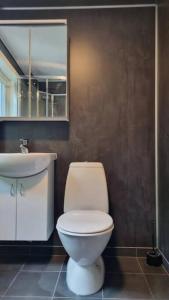 Nyoppusset leilighet nær Aker og sentrum