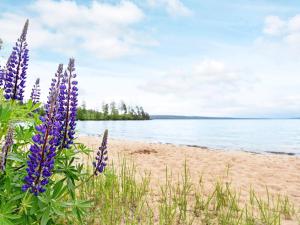 4 person holiday home in Årjäng