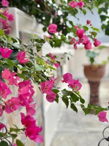 Home at Nimman Beautiful Thai-feel House 3BRs Prime