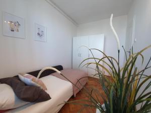 3pokojowe mieszkanie Gdańsk Żabianka