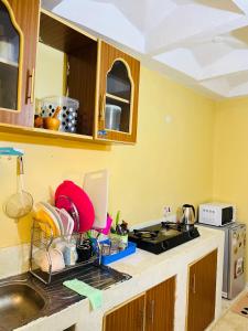 Cindys Homes, Aisha Apartments,Embu