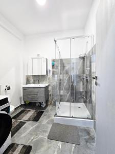 Apartament Alexandru- Băile Felix