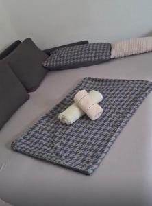 Luxury Apartment Ani 100m to See with Pool & Parking