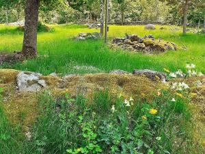 6 person holiday home in ALSTERBRO-By Traum