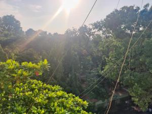 Garden View Residency