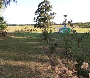 Lo Pituco casa de campo