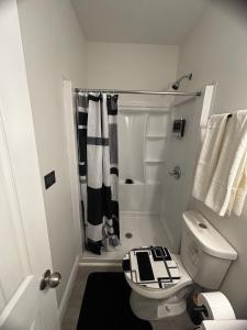 Cozy Stay in Tampa