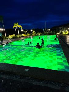 Elegant 3 Bedroom House near Airport