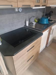 le Mont dore Centre ville appartement