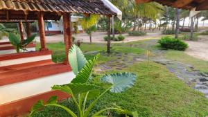 Aavi beach retreat, Nileshwar