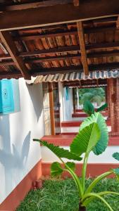 Aavi beach retreat, Nileshwar