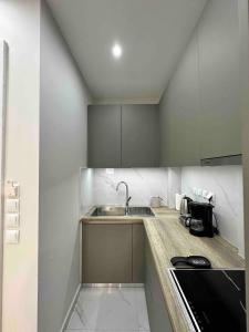 Downtown modern apartment