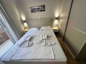 Downtown modern apartment