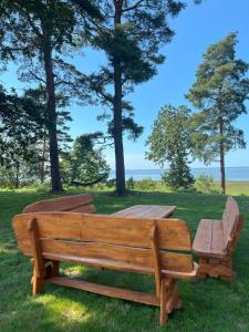 Domki na Skarpie - Wypoczynek z widokiem na Zalew - Frombork