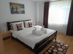 Casa Ioana Întorsura Buzăului