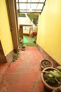 Azalea Holidays On Mall