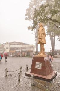 Azalea Holidays On Mall