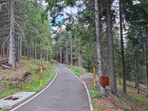 Tvoja kućica za beg 2