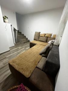 House in Nature Milić