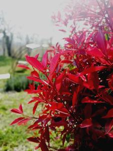 Tenuta Silente Loft con idromassaggio privato