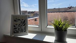 BeMa Apartments Luitpoldstraße - modern in zentraler Lage von Bamberg - Four