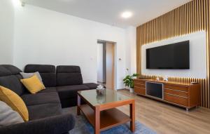 Stunning Apartment In Visnjevac With Sauna