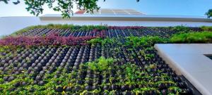 COBAR0141 - Edifício 535 Barra