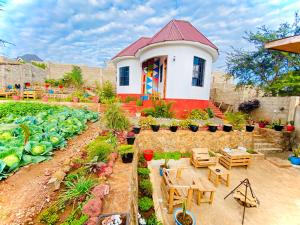 Lucky Monkey Lodge - Ubytování bez kategorie ve městě Arusha