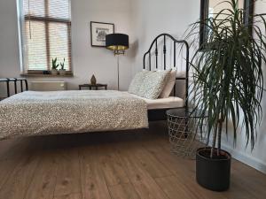 Apartament Wieżyczka