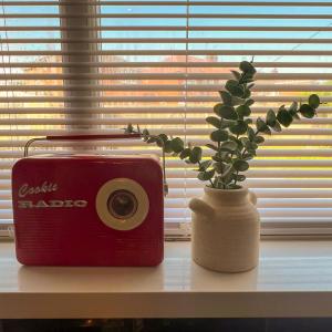 Lovely house in West Hull