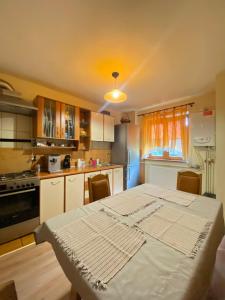 Lovely entire apartment in Cugir
