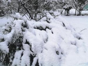 Cabaña May Pao, para 3 en Melipeuco cerca del Parque Nacional Conguillio