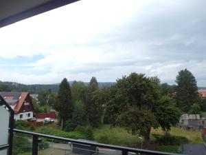 Belle View