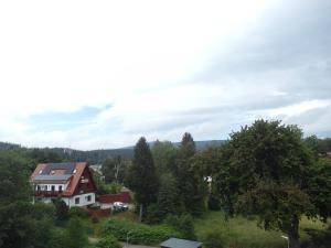 Belle View